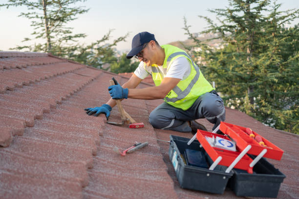 Roof Gutter Cleaning in Aviston, IL